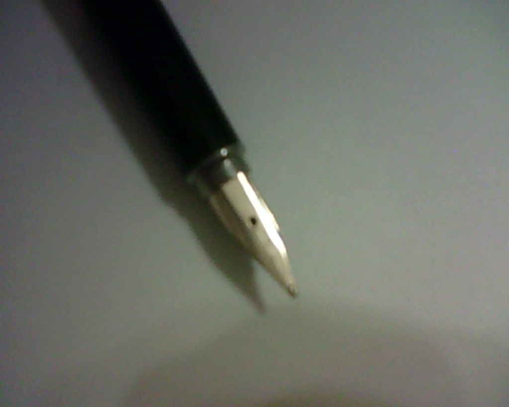 Posted Image