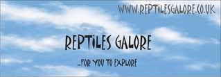 reptiles galore header