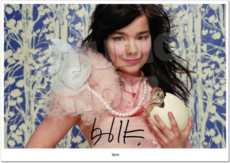 TOP QUALITY BJORK PROFESSIONALLY PRINTED 12 x 8 INCH A4