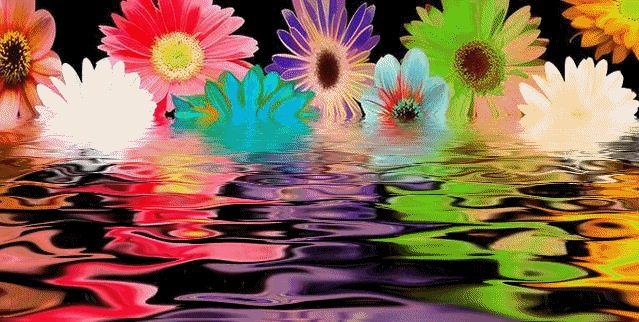 Resultado de imagem para gif flores na água