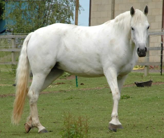 DSC_0314.jpg