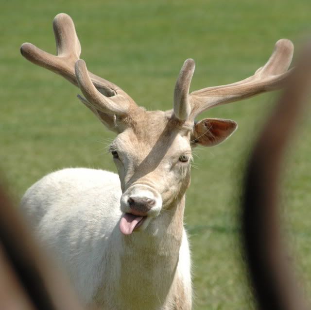 DSC_0765.jpg