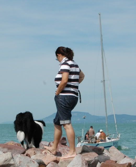 DSC_0139.jpg