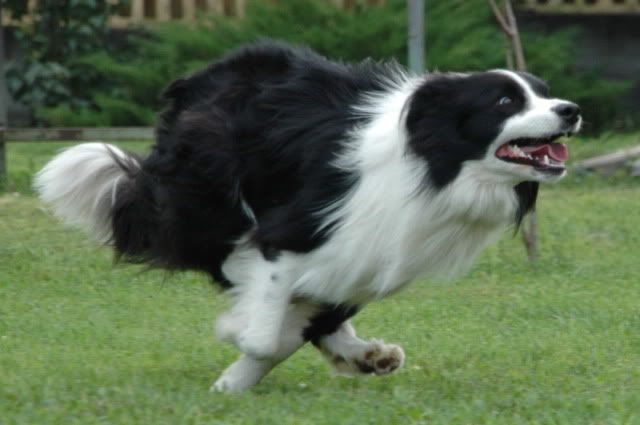 DSC_1206.jpg