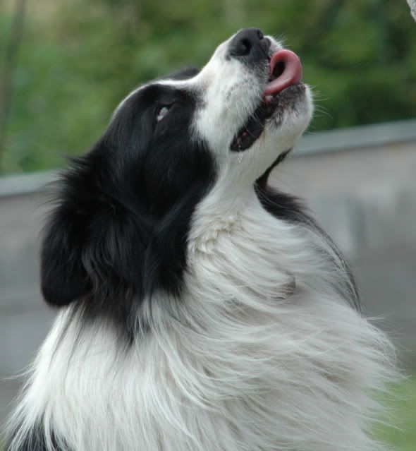 DSC_1255.jpg