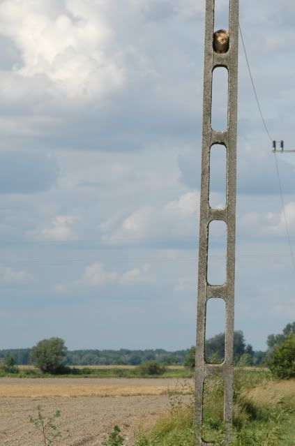 DSC_2367.jpg