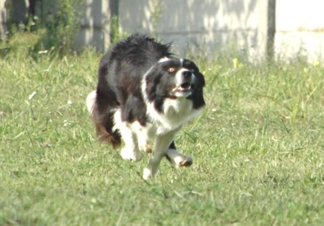 DSC_8673.jpg