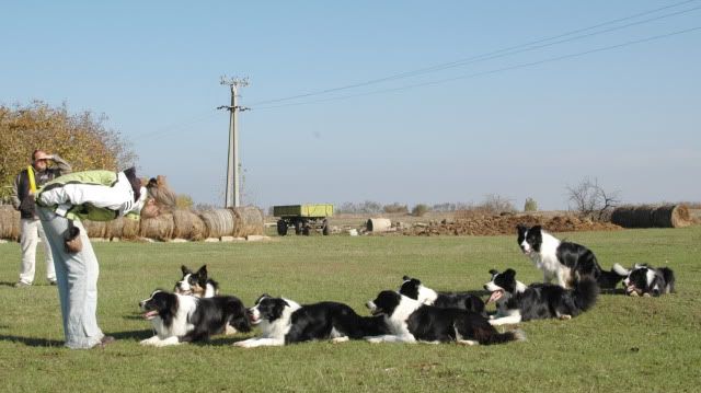 DSC_4596.jpg