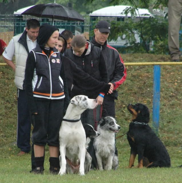 DSC_0282.jpg
