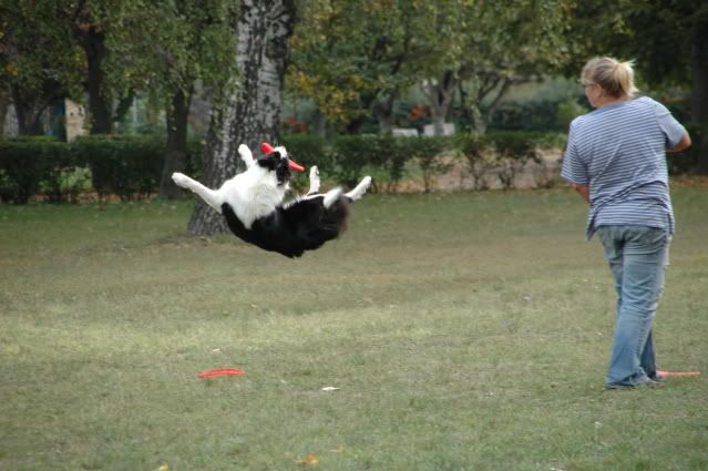 DSC_0137.jpg