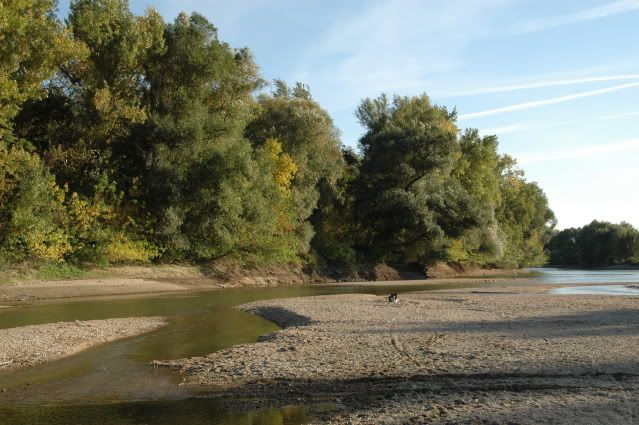 DSC_0684.jpg