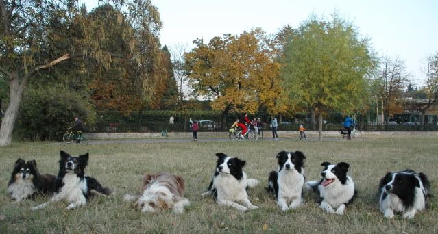DSC_3701.jpg