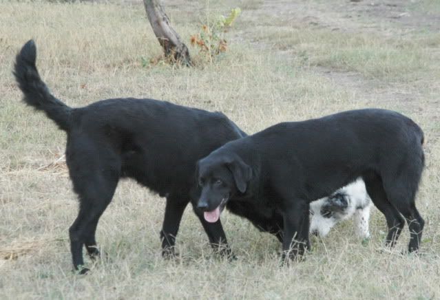 DSC_1873.jpg