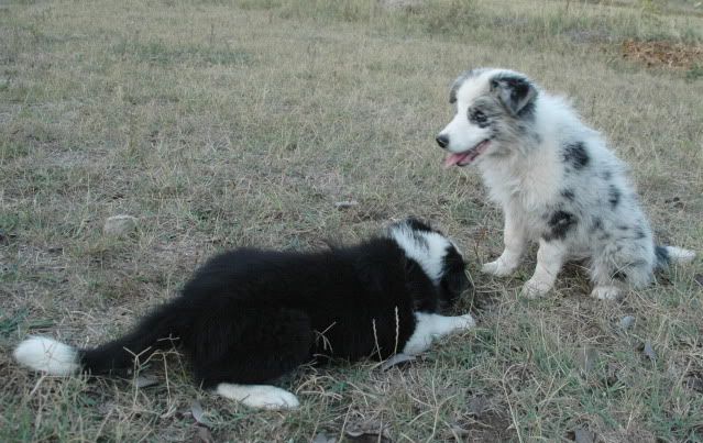 DSC_2022.jpg