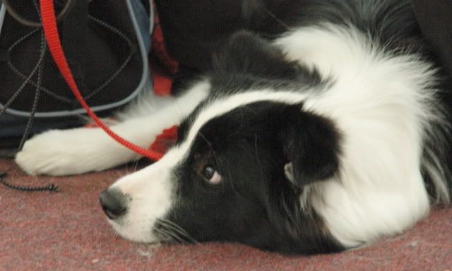 DSC_0885.jpg