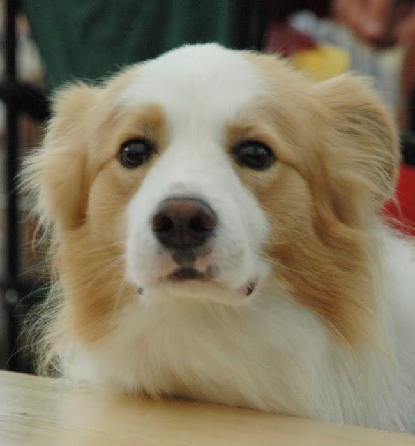 DSC_0886.jpg