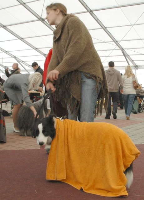 DSC_0893.jpg