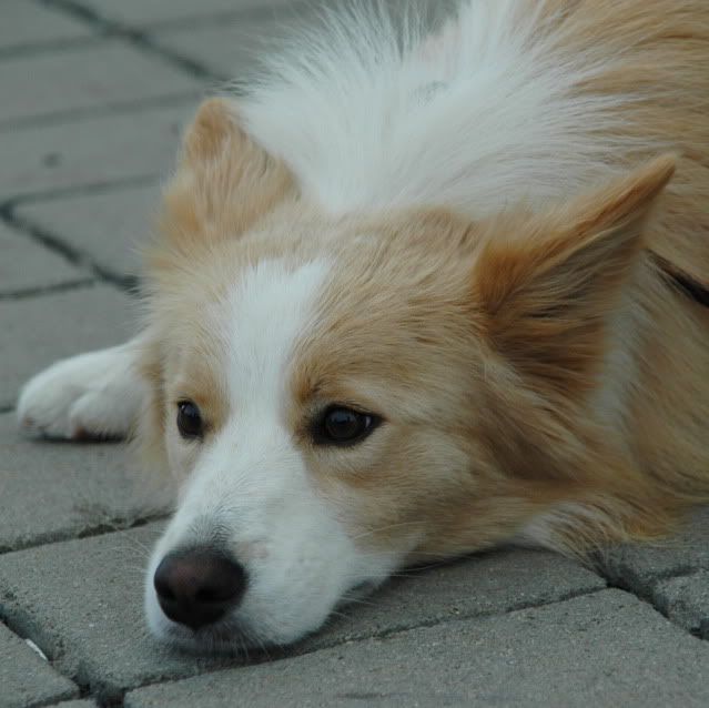 DSC_0948.jpg