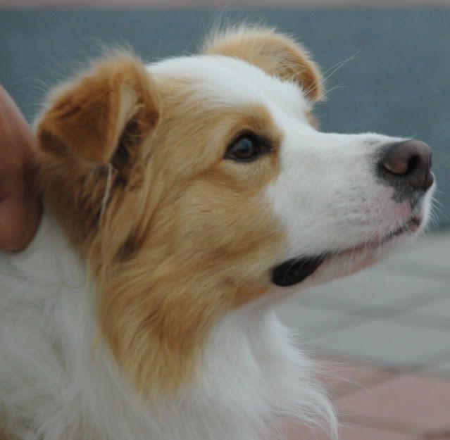 DSC_1112.jpg