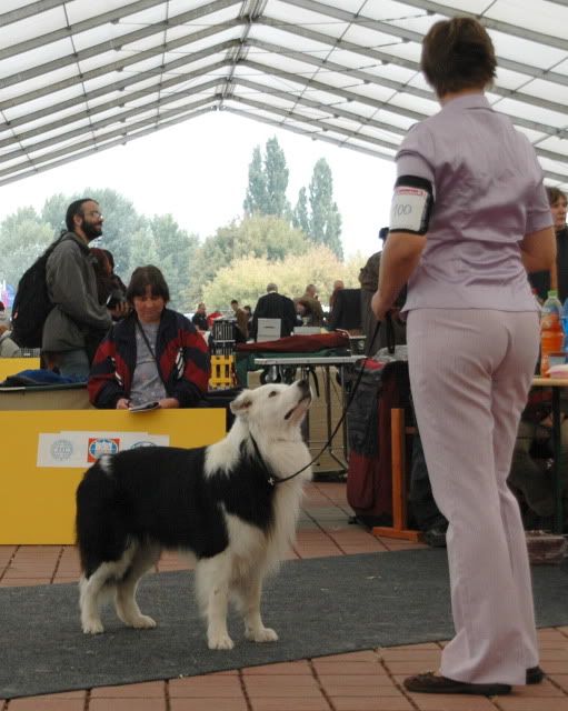 DSC_1243.jpg