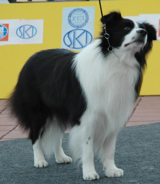 DSC_1262.jpg