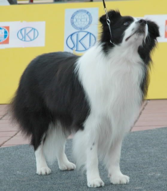 DSC_1263.jpg
