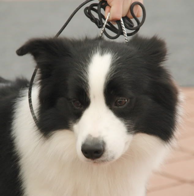 DSC_1264.jpg
