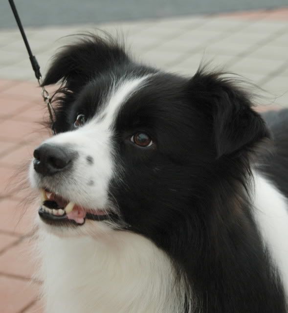 DSC_1267.jpg