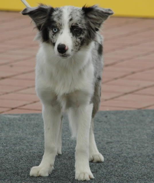 DSC_1323.jpg