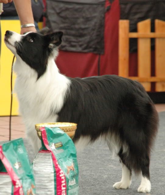 DSC_1448.jpg