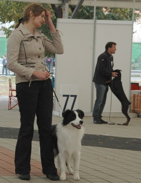 DSC_1464.jpg