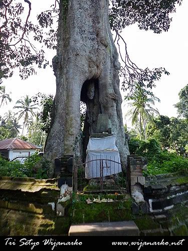 Mengunjungi Saudara Di Monkey Forest-Sangeh Mengunjungi Saudara Di Monkey Forest-Sangeh