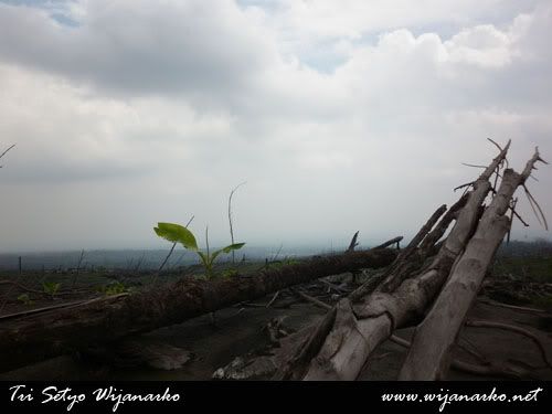 Merapi, Riwayatmu Kini.... Merapi, Riwayatmu Kini....