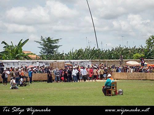 Melihat Karapan Sapi Dari Dekat Melihat Karapan Sapi Dari Dekat