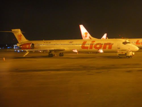 Pengalaman Pertama Naik Boeing 737-900ER