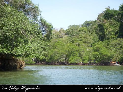 Pulau Sempu Pulau Sempu