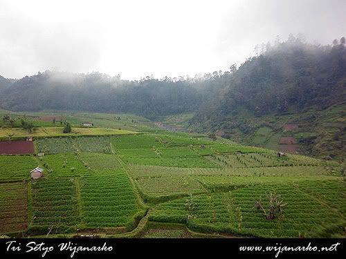 Perjalanan Ke Tawangmangu Perjalanan Ke Tawangmangu