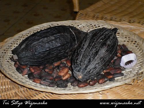 Belanja Oleh-Oleh Cokelat Monggo Belanja Oleh-Oleh Cokelat Monggo