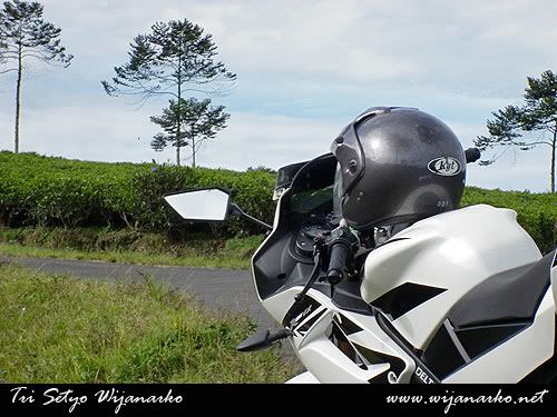 Kebun Teh Kemuning Kebun Teh Kemuning