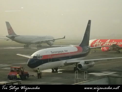 Wings Air, Fly is Cheap Wings Air, Fly is Cheap