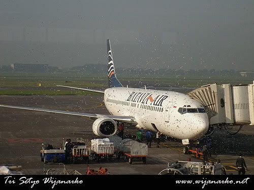 Wings Air, Fly is Cheap Wings Air, Fly is Cheap