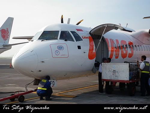 Wings Air, Fly is Cheap Wings Air, Fly is Cheap
