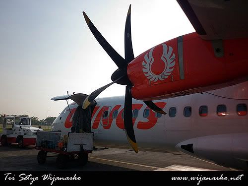 Wings Air, Fly is Cheap Wings Air, Fly is Cheap
