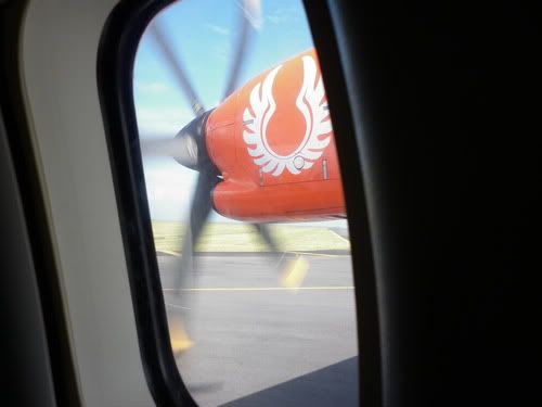 Wings Air Wings Air