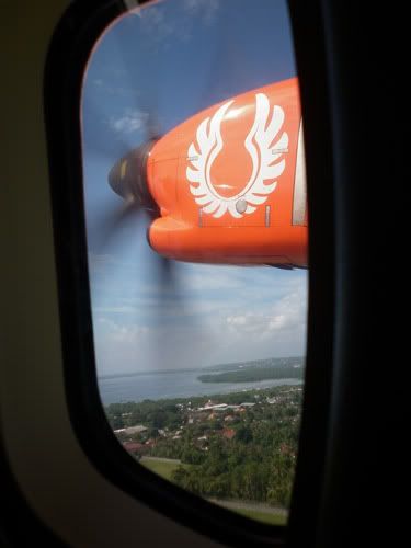 Wings Air Wings Air