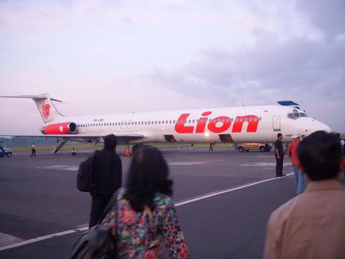 Lion Tapi Wings, Wings Tapi Lion Lion Tapi Wings, Wings Tapi Lion