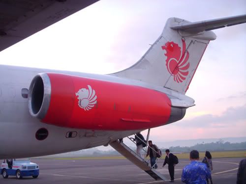 Lion Tapi Wings, Wings Tapi Lion Lion Tapi Wings, Wings Tapi Lion