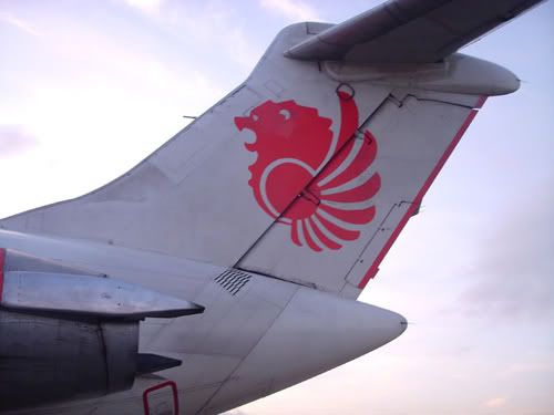 Lion Tapi Wings, Wings Tapi Lion Lion Tapi Wings, Wings Tapi Lion