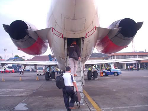 Lion Tapi Wings, Wings Tapi Lion Lion Tapi Wings, Wings Tapi Lion