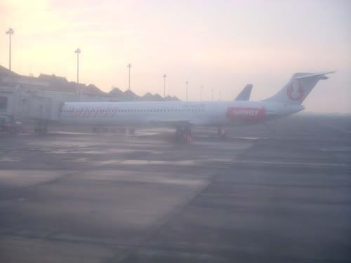 Lion Tapi Wings, Wings Tapi Lion Lion Tapi Wings, Wings Tapi Lion